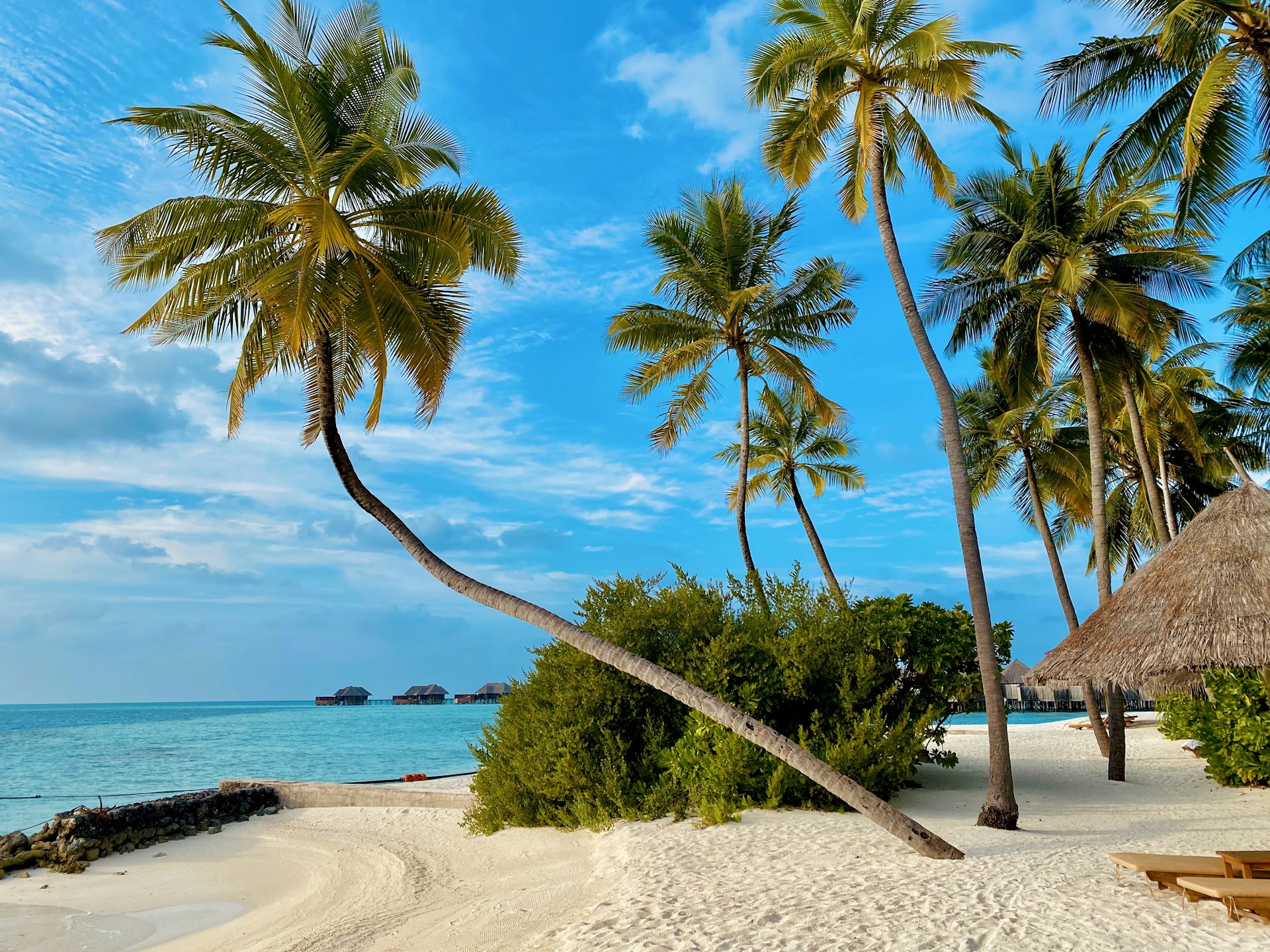 St. Kitts and Nevis Citizenship by Investment