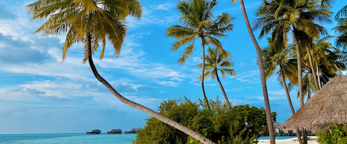 Vanuatu Citizenship by Investment